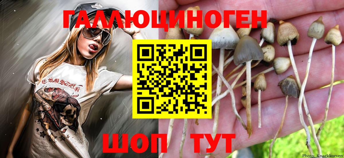 Галлюциногенные грибы прущие грибы Новокузнецк